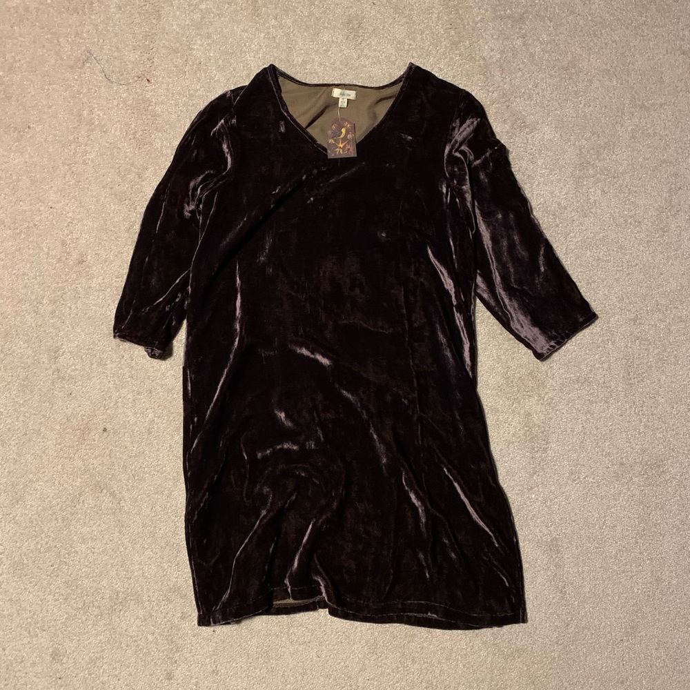 Kyla Seo Free People Crushed Velvet Dress